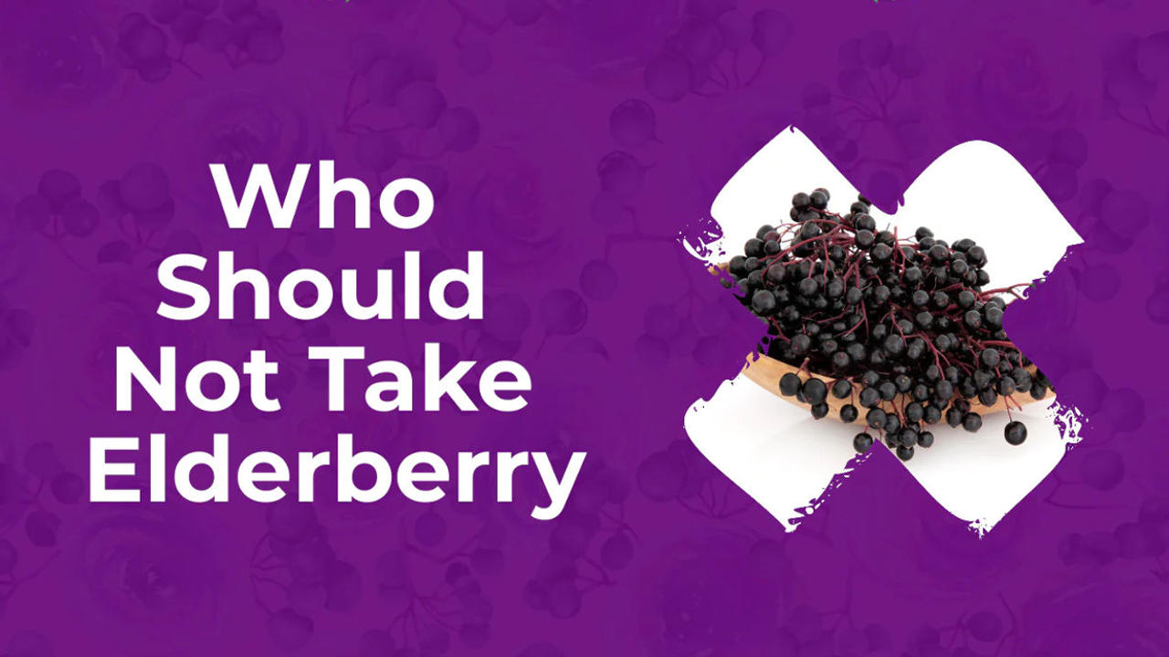 Who Should Not Take Elderberry