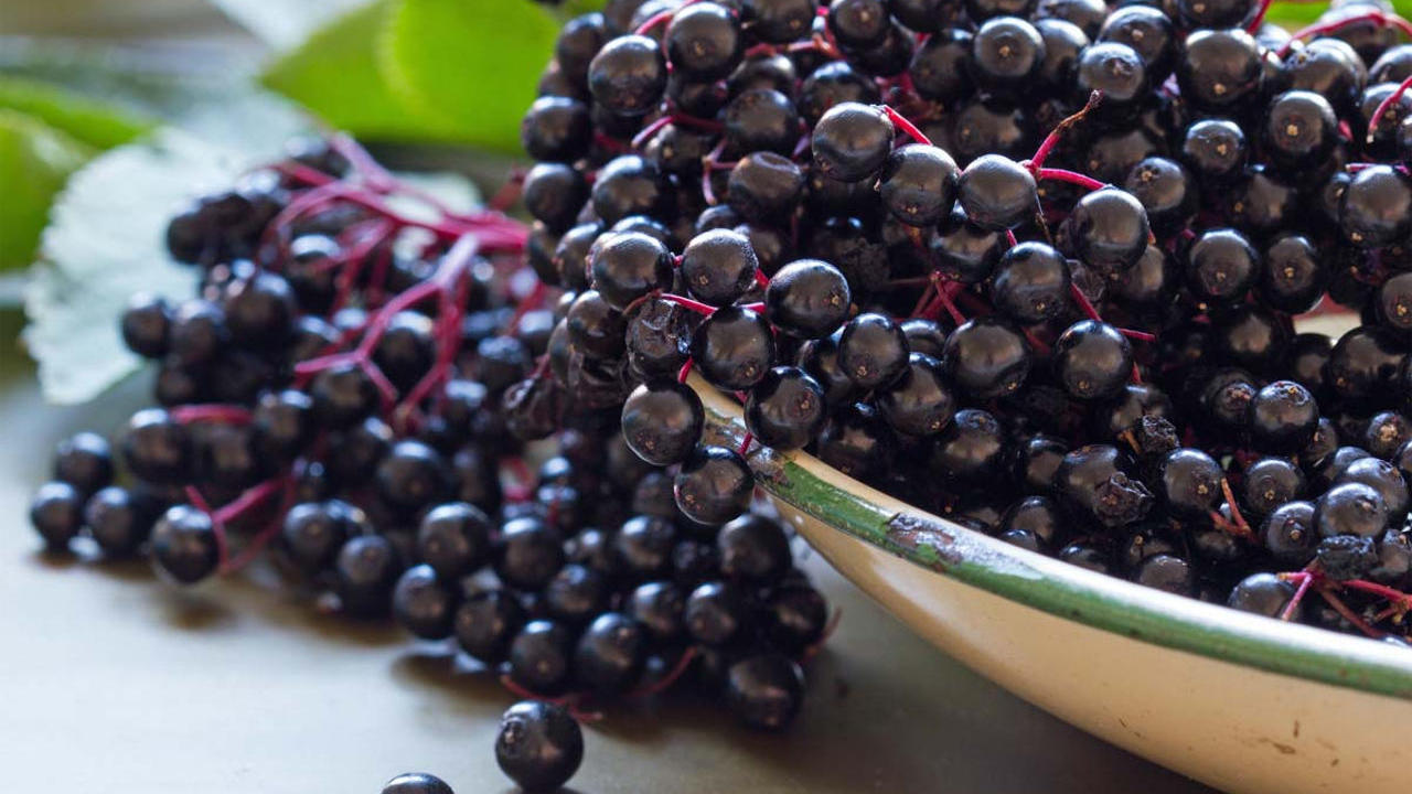 Elderberry - A Natural Remedy For Colds and Flus