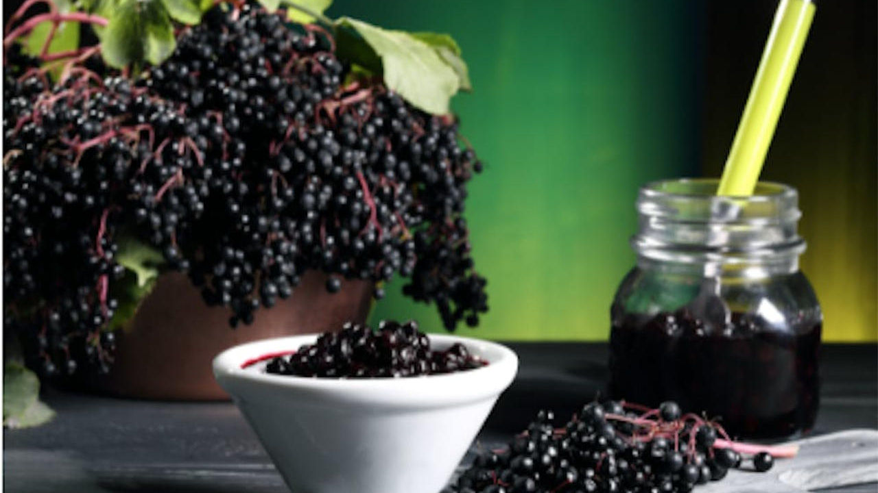 What to Do With Elderberry