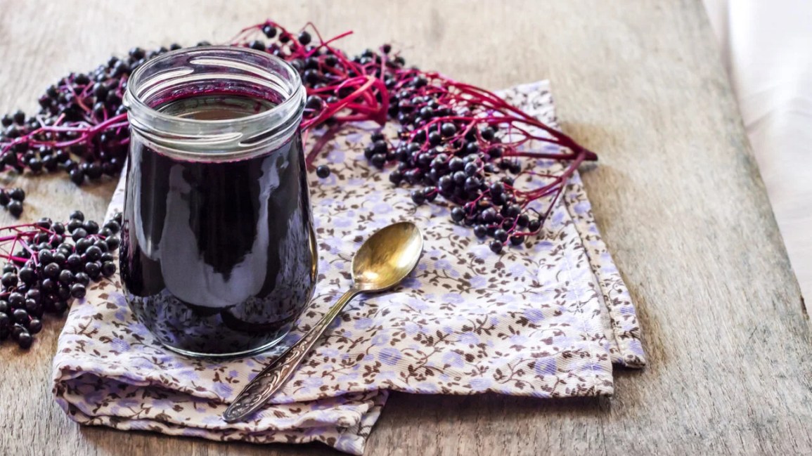 Which Elderberry is Best For Colds and Flu