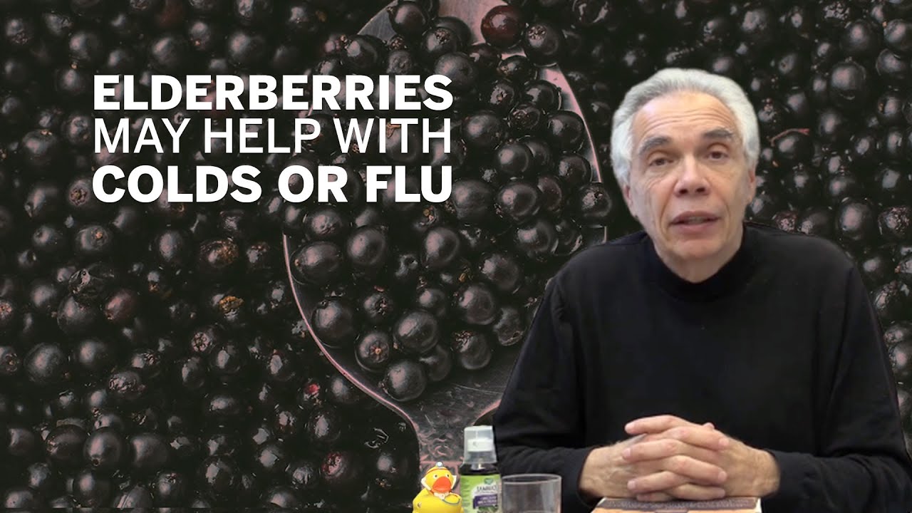 The Best Elderberry to Fight Colds and Flu