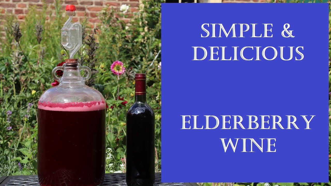 The Best Yeast For Elderberry Wine