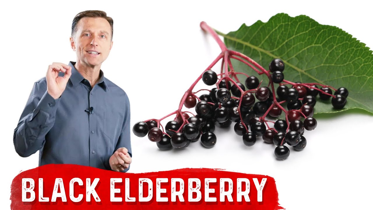 The Best Time to Take Elderberry As a Cold and Flu Remedy
